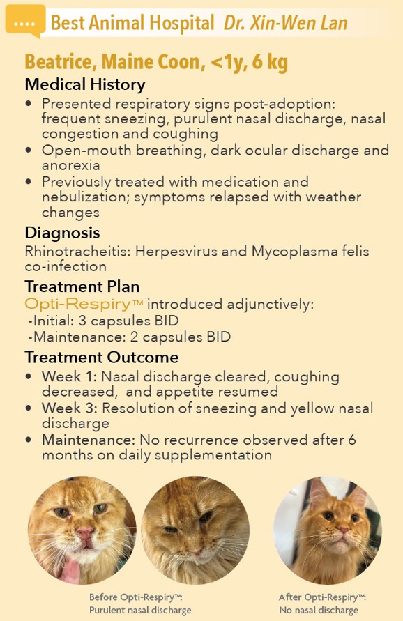 Opti-Respiry - Beatrice